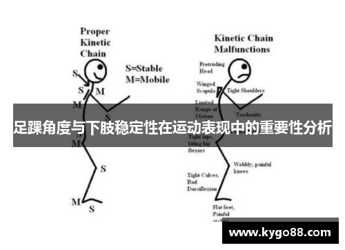 足踝角度与下肢稳定性在运动表现中的重要性分析