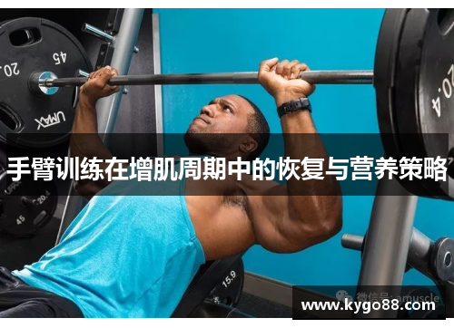 手臂训练在增肌周期中的恢复与营养策略